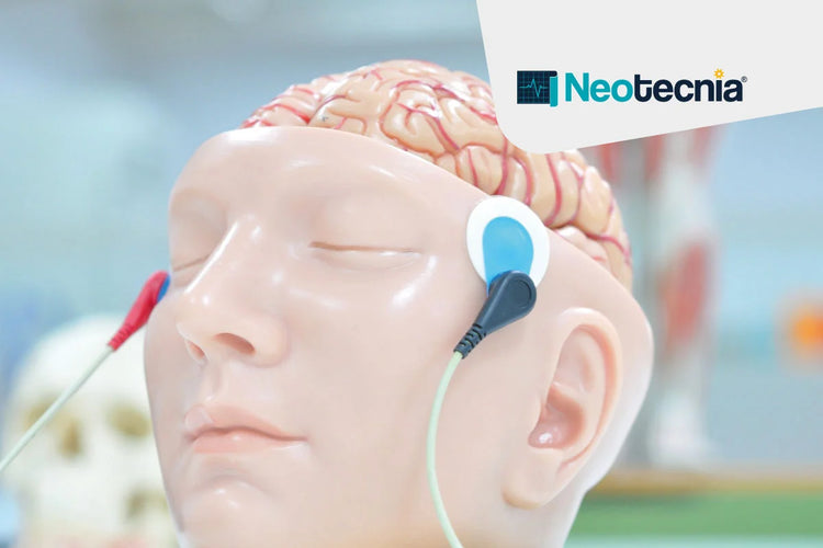 Maniquí de enseñanza anatómica con electrodos en la sien