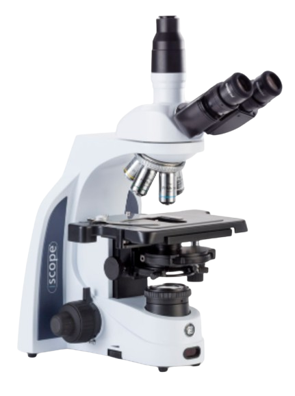 EIS-1153 PLPHi Microscopio Trinocular iScope