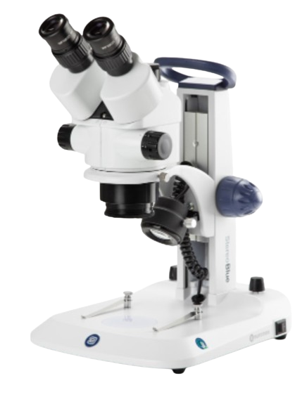 ESB-1903 Estereoscopio Trinocular StereoBlue