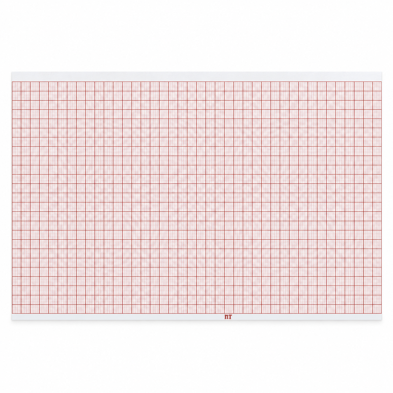 Cargue la imagen en el visor de la galería, Rollo graficado en rojo. Medidas: 21.5cm*30m. Para ECG Bionet Cardiocare EKG2000/3000. marca NT
